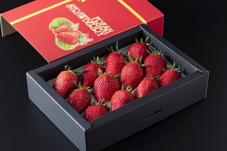 【42002】【先行予約】米村農園「大粒いちごB」 9～15粒程度×1セット 発送は2027年2月以降