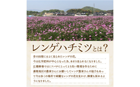 レンゲハチミツ 500g×2【B9-008】