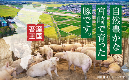 豚肉 宮崎県産 肩ロース スライス 2.4kg 豚肉[400g×6P]