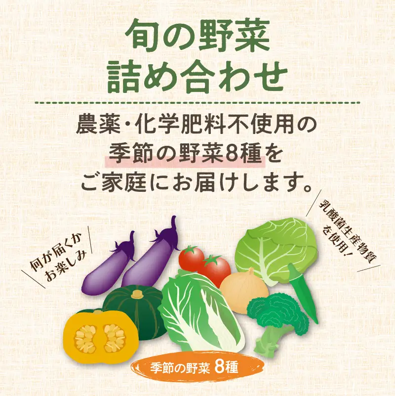 農業姉妹がこだわって栽培！旬の野菜詰め合わせ8種類【024D-008】