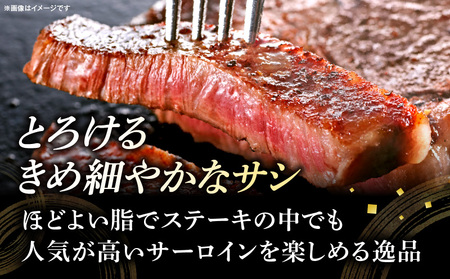 牛肉 宮崎牛 サーロイン ステーキ 1kg 牛肉