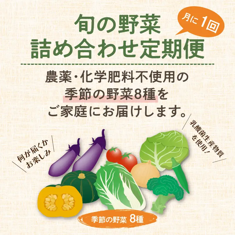 農業姉妹がこだわって栽培！旬の厳選野菜8種 半年定期便【024B-007】