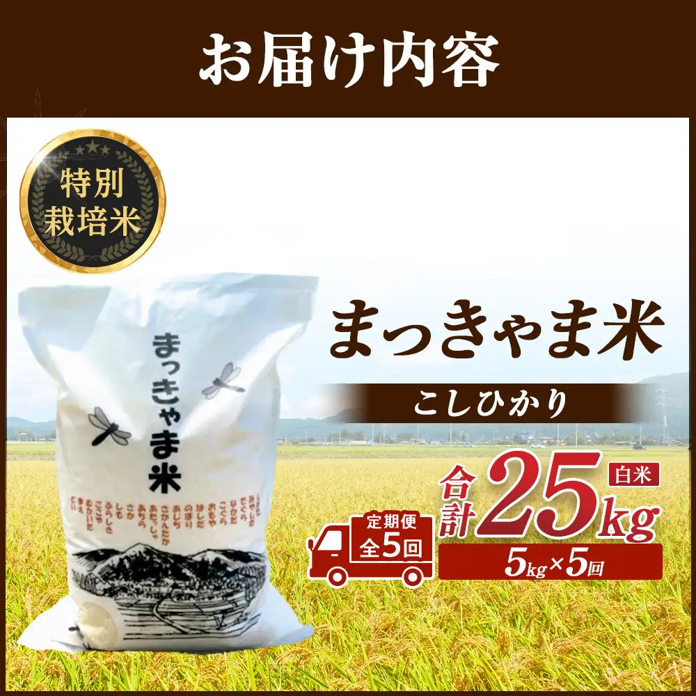 （毎月／全5回）【白米】定期便　特別栽培米 石川県産こしひかり棚田米”まっきゃま米”