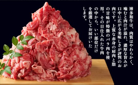 牛肉 博多和牛 切り落とし 500g 2p [um40azp010006] 和牛