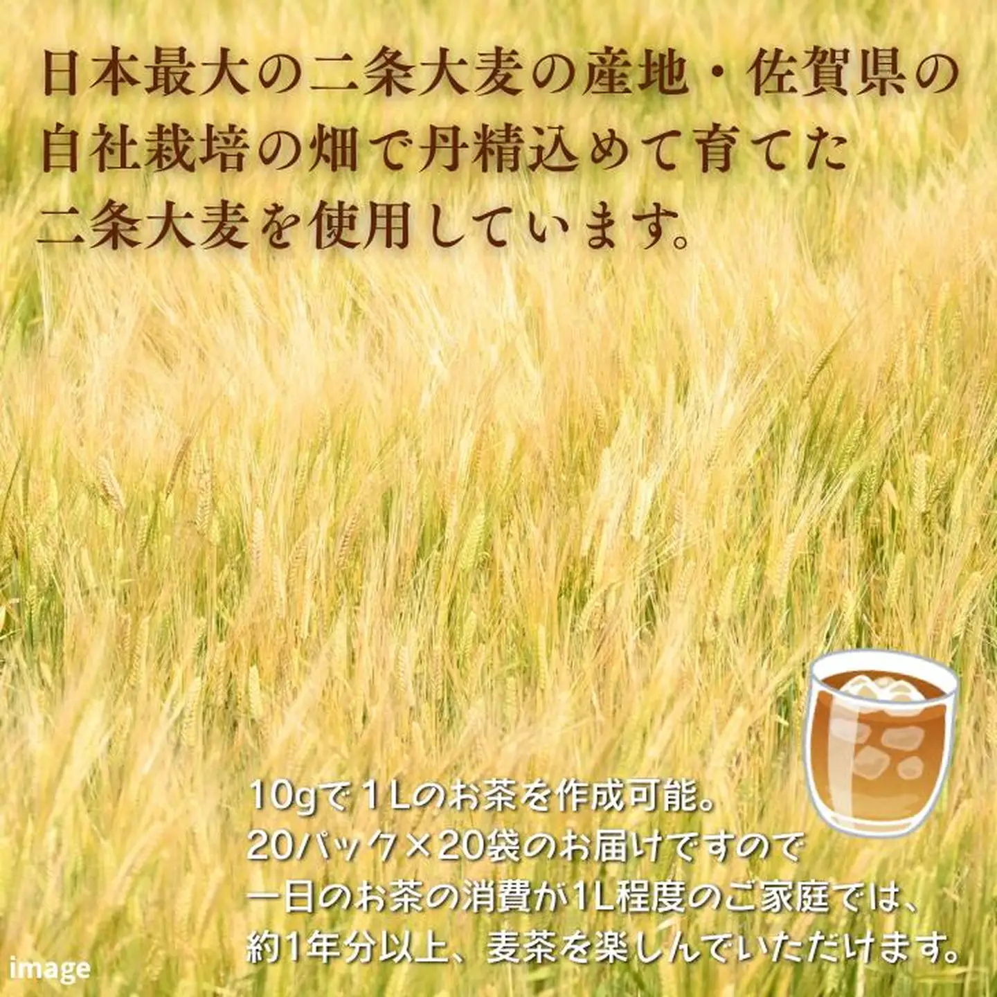 二条大麦茶 ノンカフェイン ミネラル B135-006 麦茶