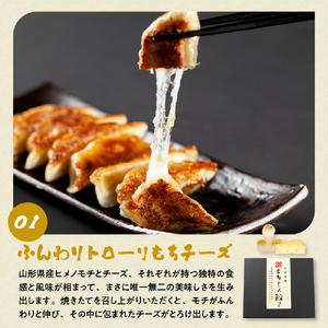 ひろしの餃子 満喫セット（もちチーズ餃子10個、特製餃子16個、えび餃子20個)  hi004-hi044-001r
