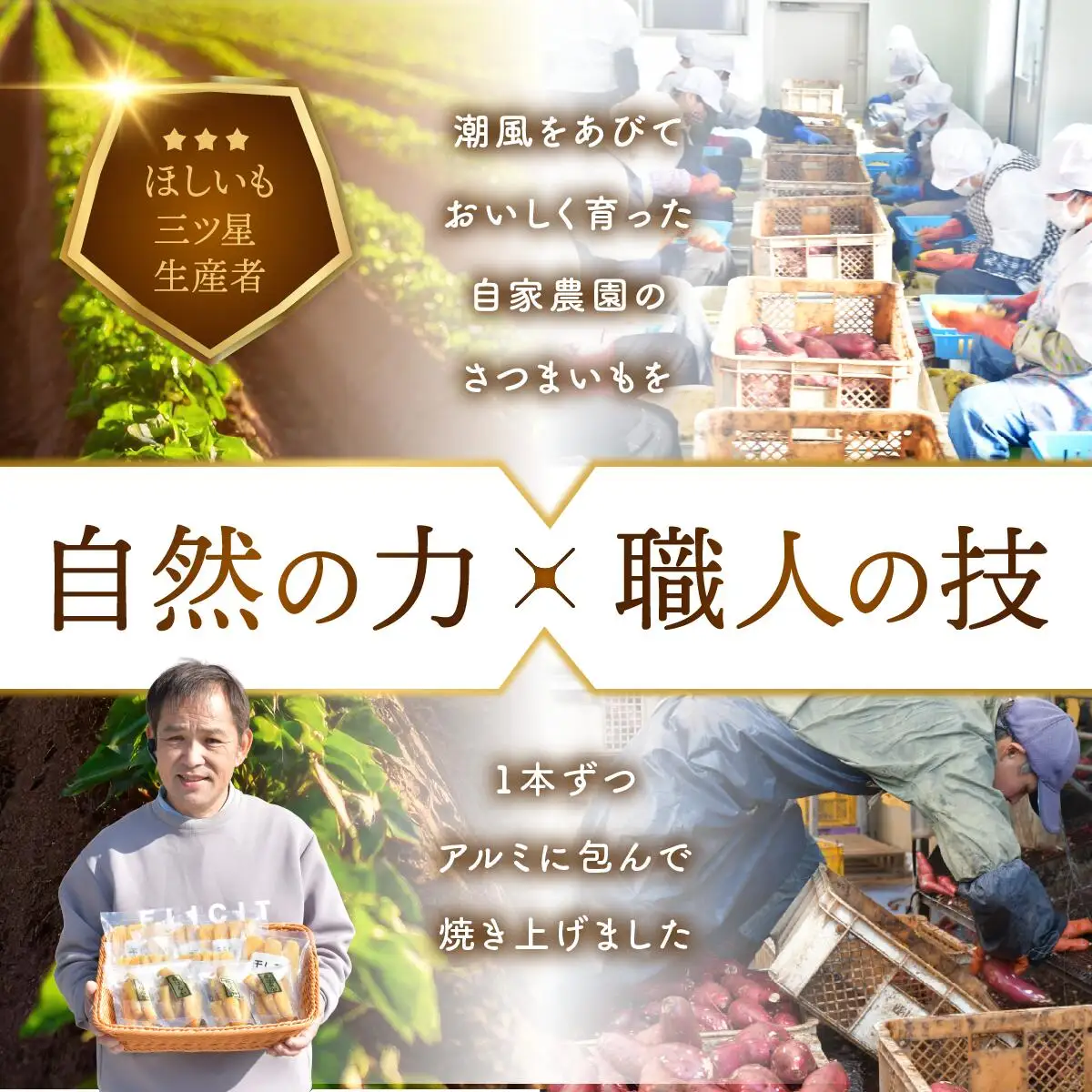 とろける焼き芋　800g×2袋_野菜 さつまいも いも サツマイモ 薩摩芋_【配送不可地域：離島】【1284216】