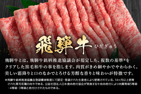 飛騨牛 A5等級【冷蔵配送】モモスライス【500g】着日指定可 飛騨牛