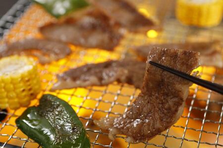 近江牛焼肉500g《近江牛A5ランクメス牛一頭買いみのや》焼肉 焼き肉 牛 牛肉 焼肉牛肉 焼き肉用牛肉 近江牛焼肉 和牛焼肉　黒毛和牛焼肉 冷凍