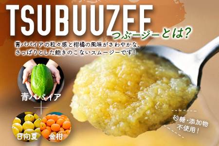 青パパイアスムージー 3か月定期便 30個×3回 MIYAZAKI GREEN PAPAYA TSUBUUZEE ～青パパイアの粒々とフレッシュな柑橘の味わい～ 【F106】