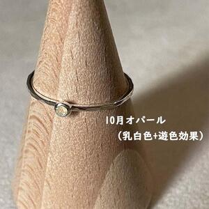 【プレゼント包装付き】誕生石リング（シルバー）