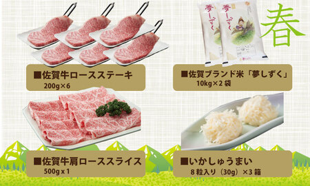 【定期便】 (年4回お届け) フォーシーズン 小城定期便   Q415-001