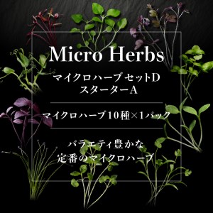【マイクロハーブ セット（D）／スターターA】 [h173]