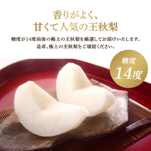 【先行予約】王秋梨 3kg前後 ※2026年10月下旬～12月上旬頃に順次発送予定 【梨 なし 果物 フルーツ くだもの 鳥取県産 北栄町 おすすめ 人気】