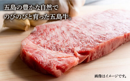 【3回定期便】五島牛 サーロインステーキ500g（250g×2枚） 五島市/ニク勝[PBF009]  サーロイン ステーキ 肉 ジューシー 牛肉 五島牛 国産