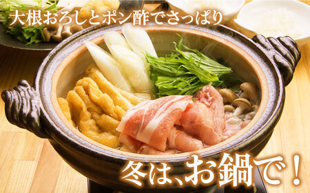 【3回定期便】五島豚の豚しゃぶ500g（250g×2パック） 五島市/ニク勝[PBF015]  しゃぶしゃぶ 豚肉 国産 五島 肉 ぶたしゃぶ 豚しゃぶ