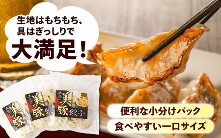 【3回定期便】美豚餃子75個（15個×5袋） 五島市/長崎フードサービス[PEL006]  冷凍 餃子 飲茶 中華 ぎょうざ ギョウザ