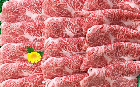 【6回定期便】五島牛 肩ロース400g（焼肉用/すき焼用） 五島市/ニク勝[PBF018]  やきにく 焼肉 すきやき 牛肉 牛 にく 肩ロース 国産 冷凍