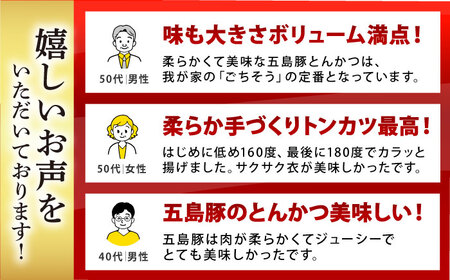 【6回定期便】五島豚のとんかつ600g（100g×6枚） 五島市/ニク勝[PBF021]  カツ トンカツ 国産 豚肉 豚 ぶた おかず 冷凍