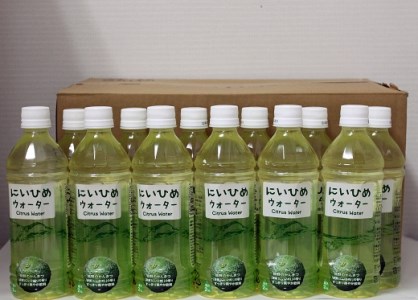 乾いたカラダを潤す♪ にいひめウォーター ５１０ml × ２４本 入【frsn0014A】