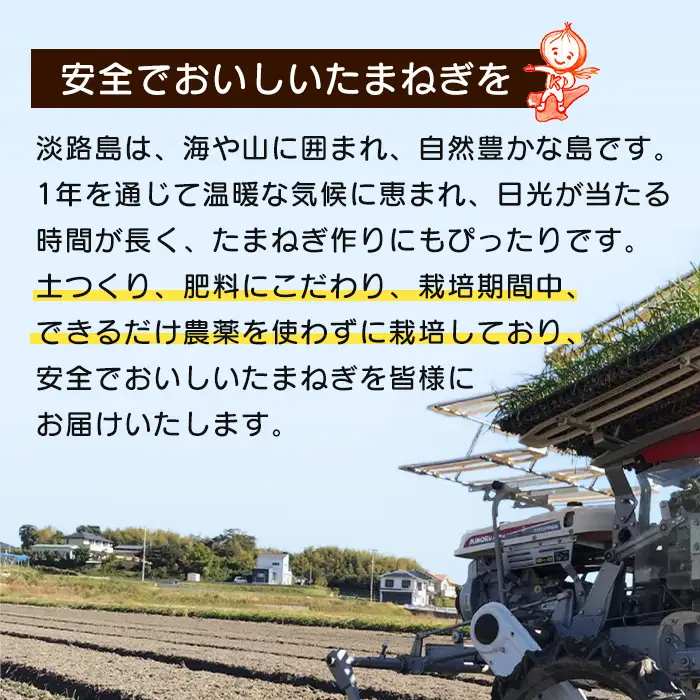 【玉ねぎ定期便12ヶ月】淡路島たまねぎ 大きな2Lサイズ 5kg　玉ねぎ