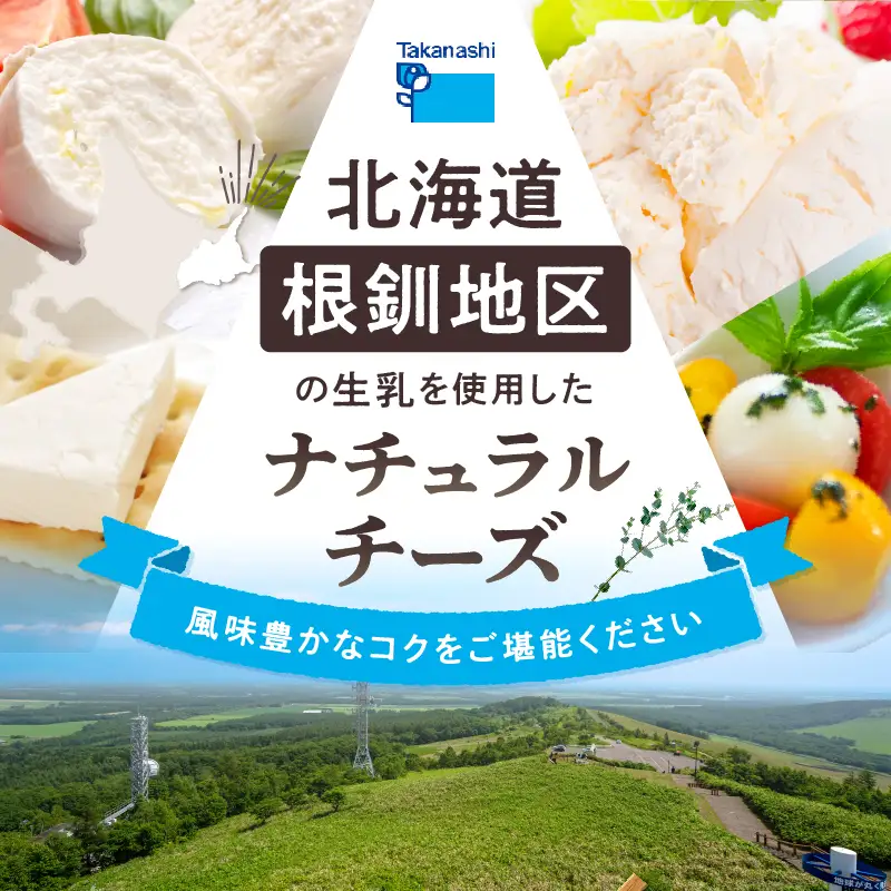 タカナシ乳業人気チーズ 4種 詰め合わせ チーズ_H0026-104