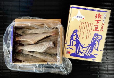 【北海道産】 生干し こまい 1kg×2箱 ふるさと納税 魚 F4F-0306