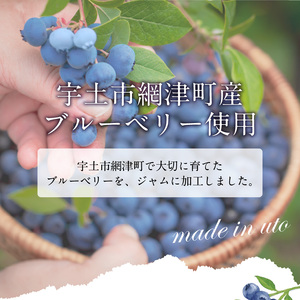 ブルーベリージャム2個セット _U126-0003