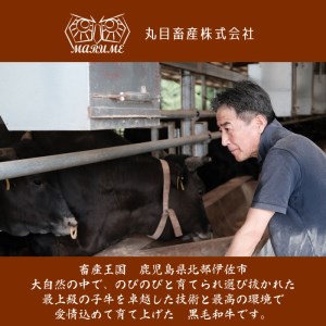 isa337 鹿児島県産黒毛和牛 伊佐黒王牛サーロインステーキ！(計500g・250g×2パック) ブランド牛 牛肉 国産 九州産 鹿児島県産 サーロイン 焼肉 ステーキ肉 和牛 ギフト 肉 贈り物 プレゼント【プラン・ビー】