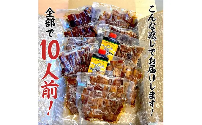 訳あり 国産 きざみうなぎ 900g (90g×10) 浜名湖産 鰻 蒲焼 小分け