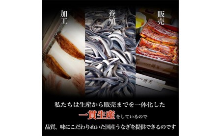 訳あり 国産 きざみうなぎ 450g (90g×5袋) タレ 75ml×1 山椒付 セット 詰め合わせ 国産うなぎ 刻み 国産刻み鰻 うなぎ ウナギ 鰻 魚介 魚介類 惣菜 お惣菜 小分け 簡単調理 個包装 勝美 静岡うなぎ 浜名湖うなぎ 土用の丑の日 静岡 静岡県 浜松市