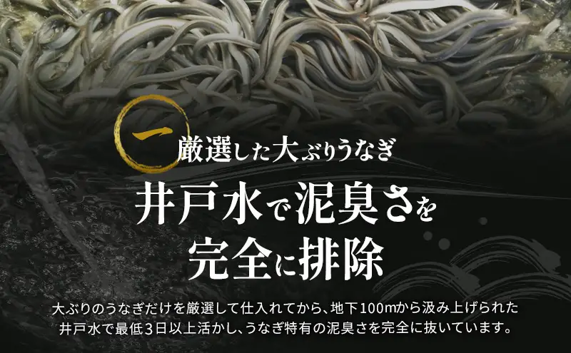 国産 うなぎ 勝美 蒲焼き 3尾 480g 浜名湖産 鰻 蒲焼 真空パック 冷凍 浜松