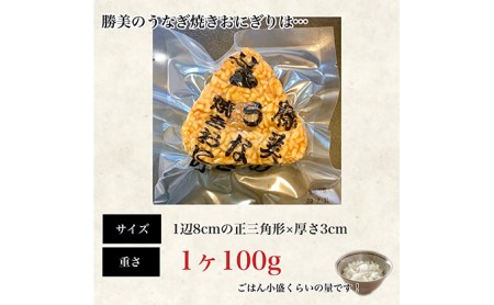 【ギフト】プレミアムうなぎ焼きおにぎり 100g×15ヶ入 加工品 惣菜 冷凍 インスタント 簡単調理 