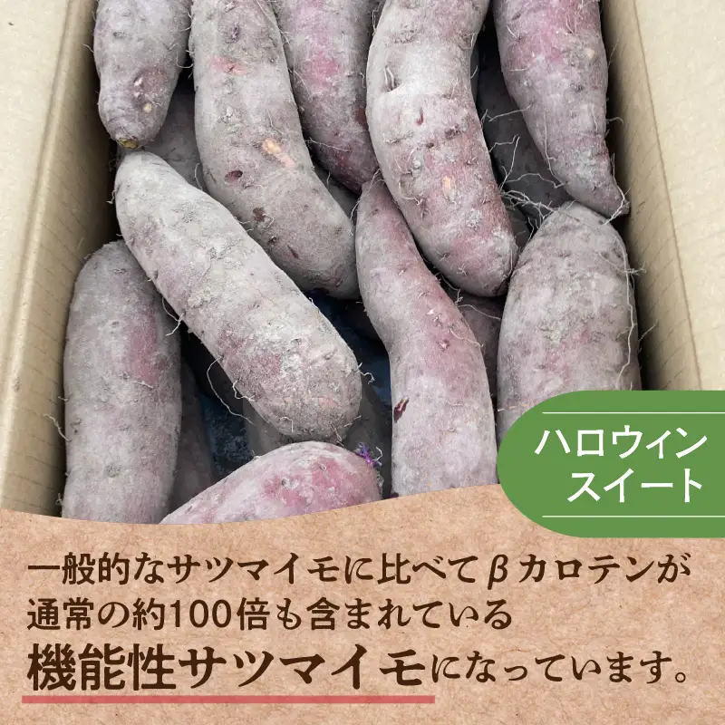 【予約：2026年10月下旬から順次発送】北の果てのサツマイモ ハロウィンスイート ※土付き ( 北海道 野菜 芋 さつま芋 さつまいも サツマイモ 期間限定 数量限定 )【133-0001-2026】