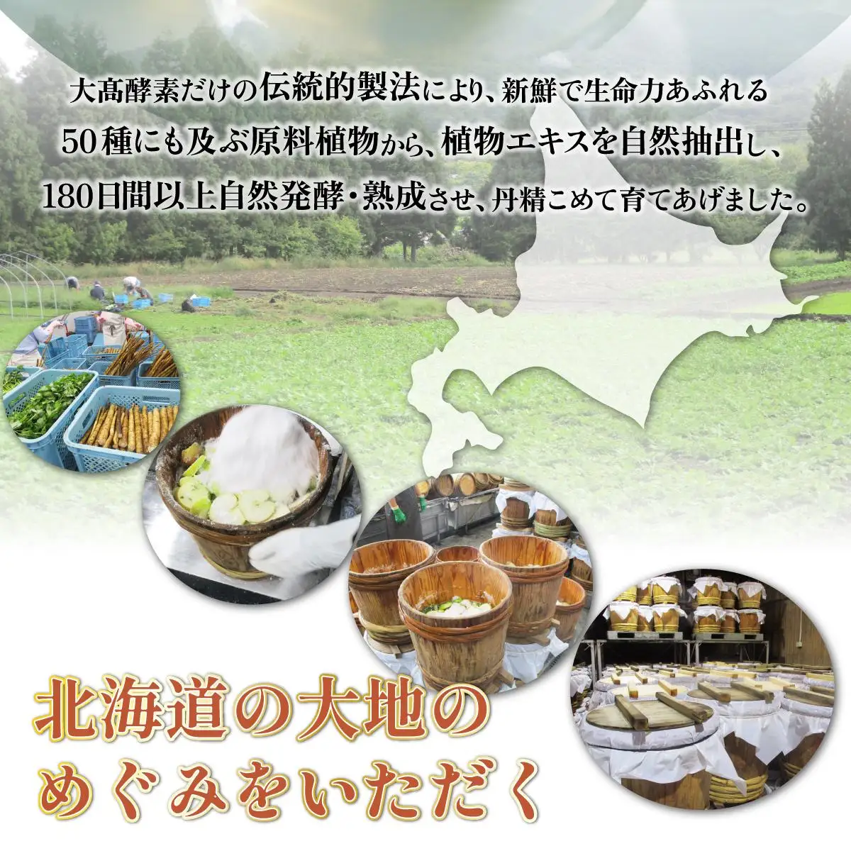 ＜大高酵素＞スーパーオータカ 60ml×6本セット 大高酵素 健康 飲料 原液 植物エキス醗酵飲料 美容 栄養 野菜 北海道 果物 植物 酵素 ファスティング 腸内環境 特許 保存 非常食 代用食 ダイエット 置き換え 送料無料 伊達市