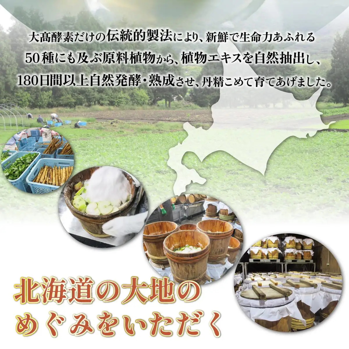 スーパーオータカ 1200ml 大高酵素