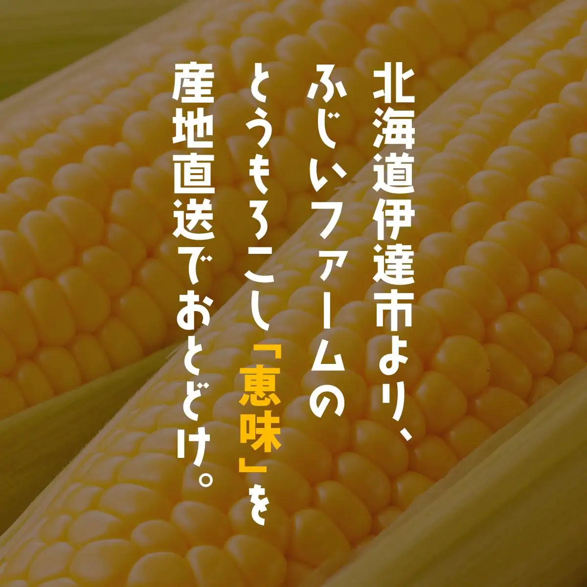 ＜先行予約＞北海道産 とうもろこし 恵味 Lサイズ 10本【55250484】
