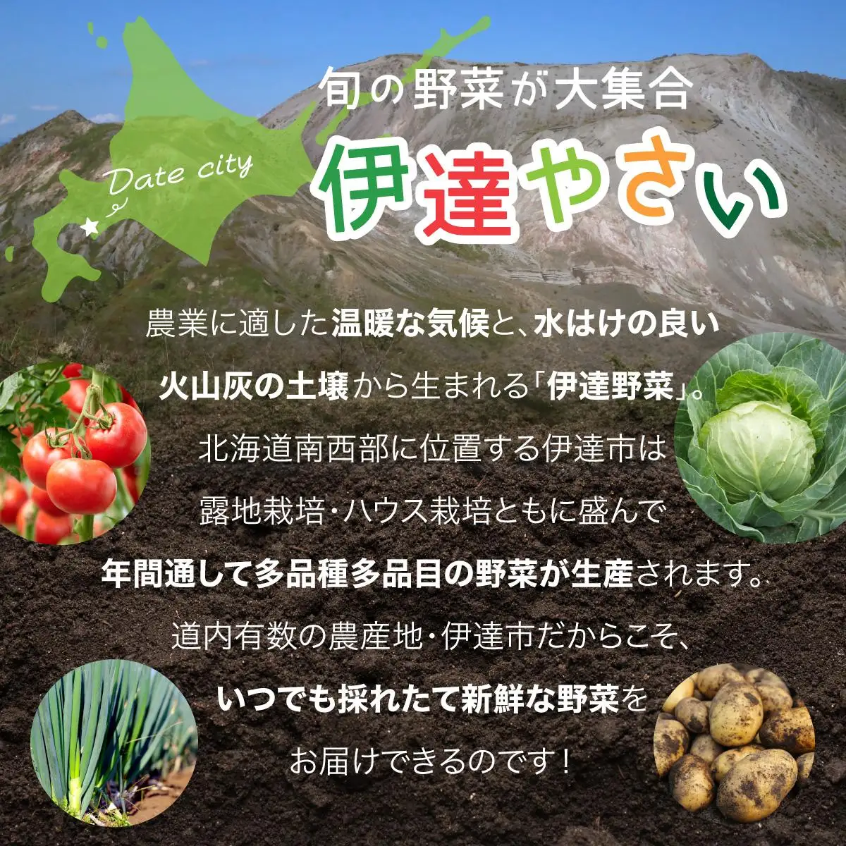 ＜野菜セット！＞北海道 伊達市 産直・旬のおまかせ野菜詰合せ 6～8種【55250527】