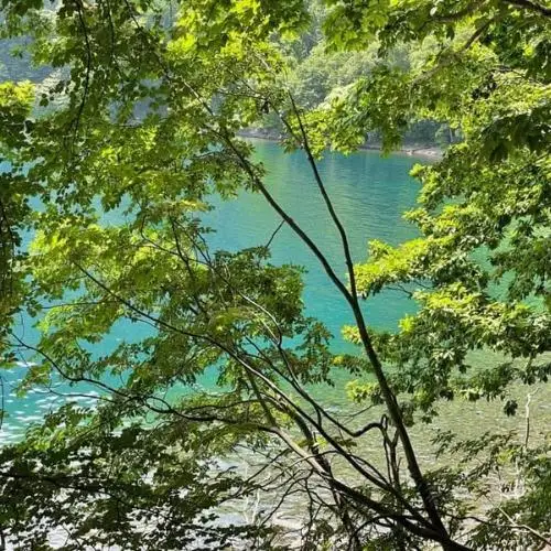 [5525-0625]伊達おさんぽかふぇ「森と海さんぽ～ポロノットと有珠の海岸～」