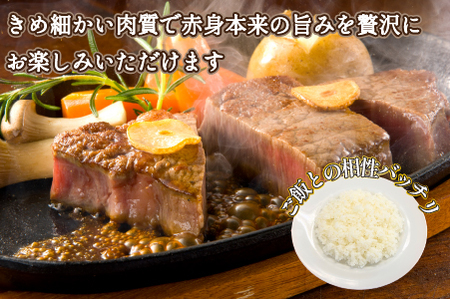 【美味しい宮崎牛専門店ミヤチクからお届け】A4等級以上 宮崎黒毛和牛 ヒレステーキ 2枚セット（牛肉 黒毛和牛 赤身 ヒレ ステーキ 人気） ステーキ 和牛ステーキ 牛肉ステーキ 国産ステーキ ヒレステーキ