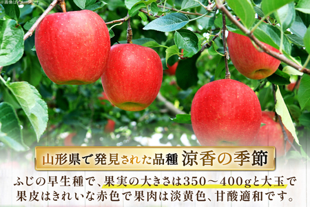 【期間限定発送】 りんご 高畠町産 涼香の季節 14～18玉 5kg [JA山形おきたま 山形県 高畠町 tk06ays870045]