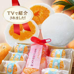 大福 まるごと みかん大福 詰め合わせ セット 三ヶ日みかん みかん フルーツ大福 母の日 和菓子 お菓子 菓子 スイーツ おやつ デザート まるごとみかん大福 フルーツ 取り寄せ お取り寄せ ご当地 ご当地グルメ 特産品 名産品 銘菓 冷凍 静岡県浜松市 浜松