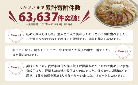 浜松餃子 80個 (20個×4袋) セット 餃子 国産 冷凍餃子 冷凍食品 惣菜 配送不可：離島