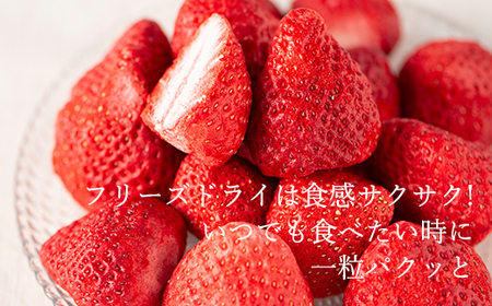 常温で手持ちできるギフト (フリーズドライ＆ジャム 2つ入りセット)