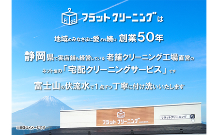 【フラットクリーニング】スピード15点パック 利用券 チケット 衣類 