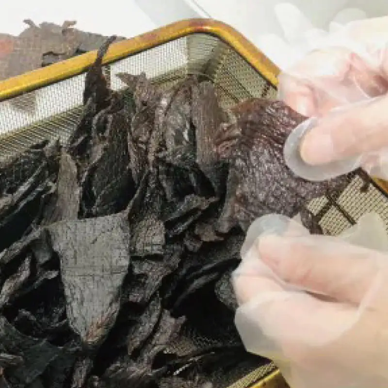 北海道 根室産 蝦夷鹿 ジャーキー OUTLAND JERKY 40g×5パック 鹿肉 別海町