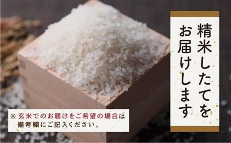 【定期便 6ヶ月】（全6回）令和7年産 飛騨産コシヒカリ 「飛騨の米」  白米（玄米対応可）5kg |  飛騨産 こしひかり 精米 節減農薬米 のし対応 飛騨高山 ファームジネンいいむら GG104