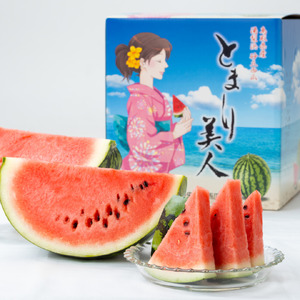 スイカ 3L 8kg とまり 美人 西瓜 | 17M