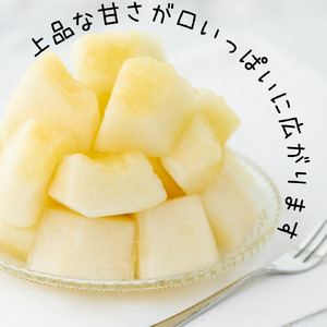 メロン 5kg 3玉 － 6玉 クレオパトラ 樋口農園 | 219M