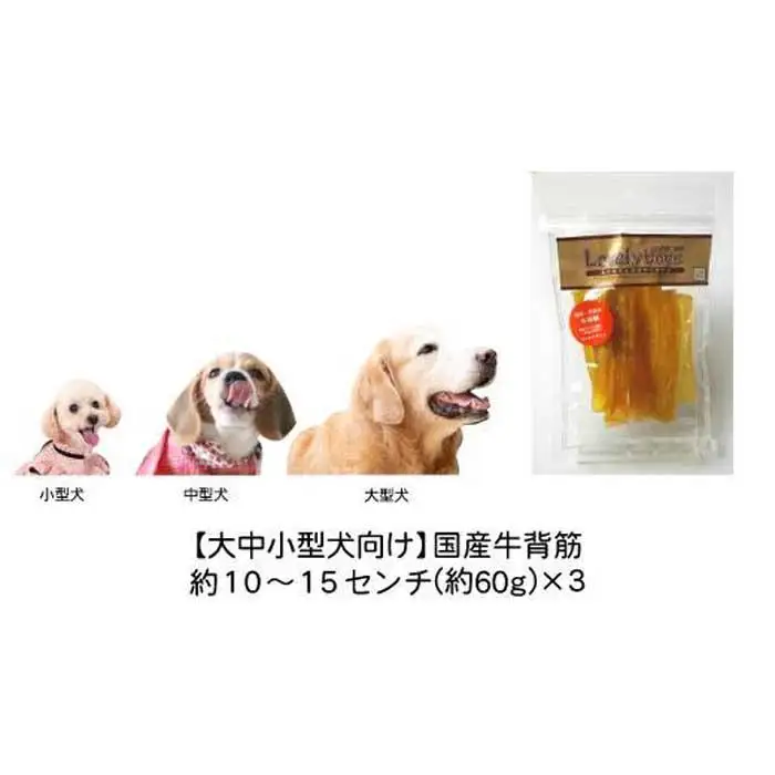 精肉店がこだわった【大中小型犬向けおやつ】国産牛背筋　60g×3　無添加 手作り